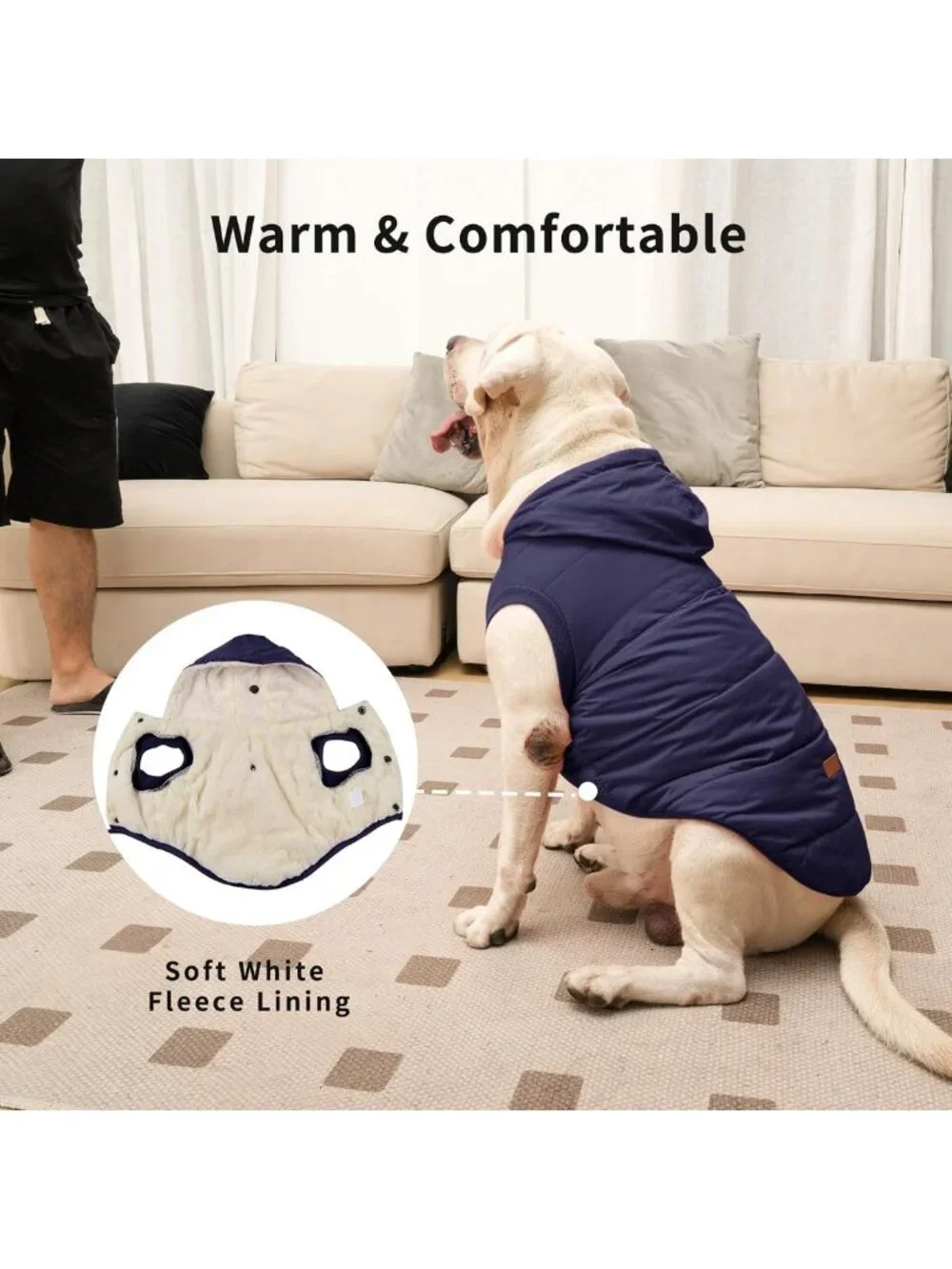 Cozy Winter Dog Jacket with Hoodie for Medium Dogs - Warm & Stylish Pet Coat